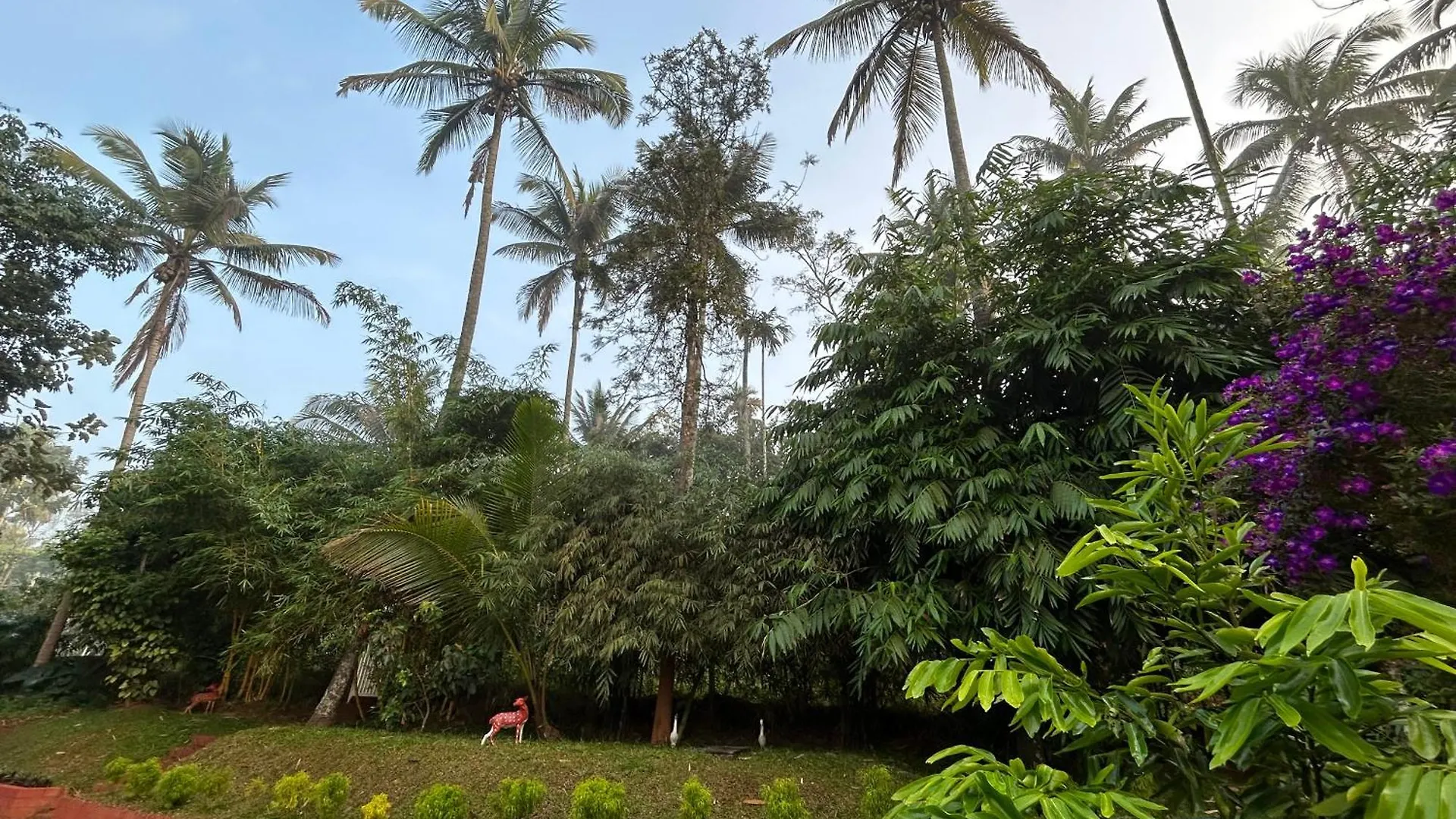 Silver Oak By Exuberance Stays Wayanad