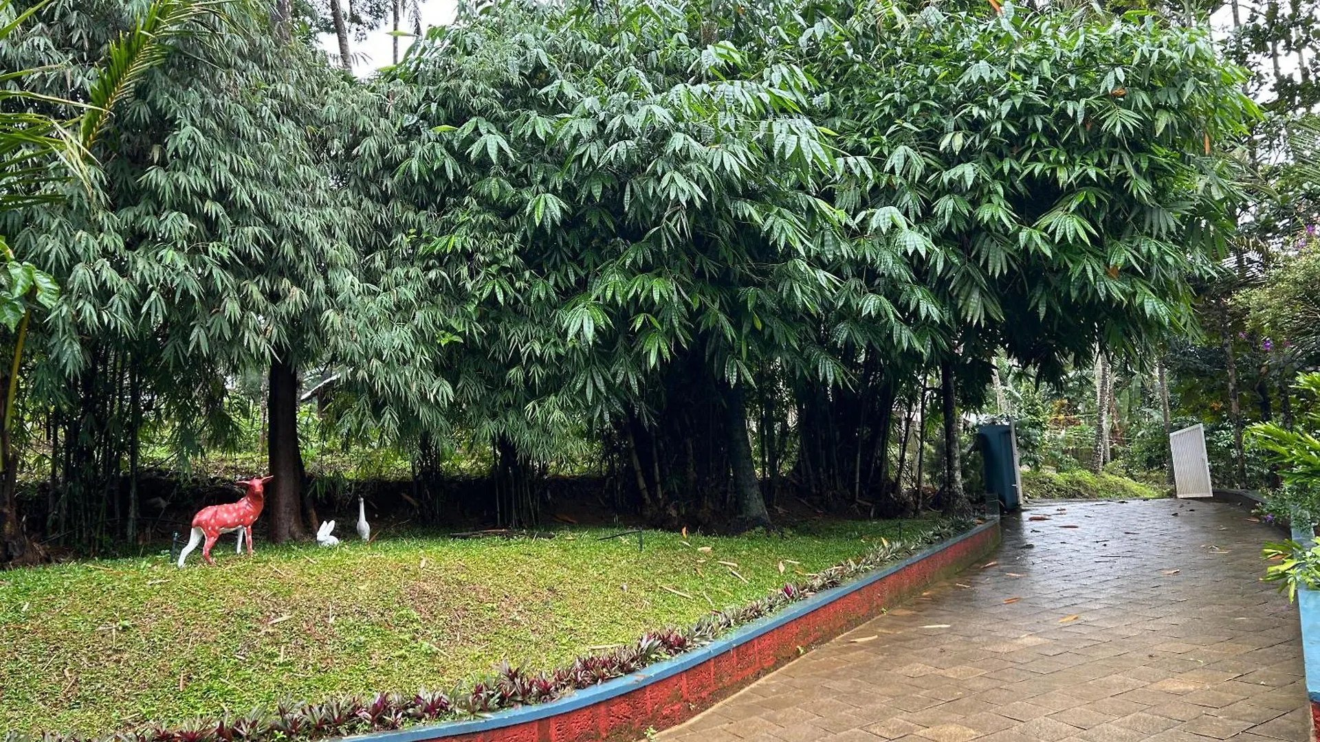 Penzion Silver Oak By Exuberance Stays Wayanad