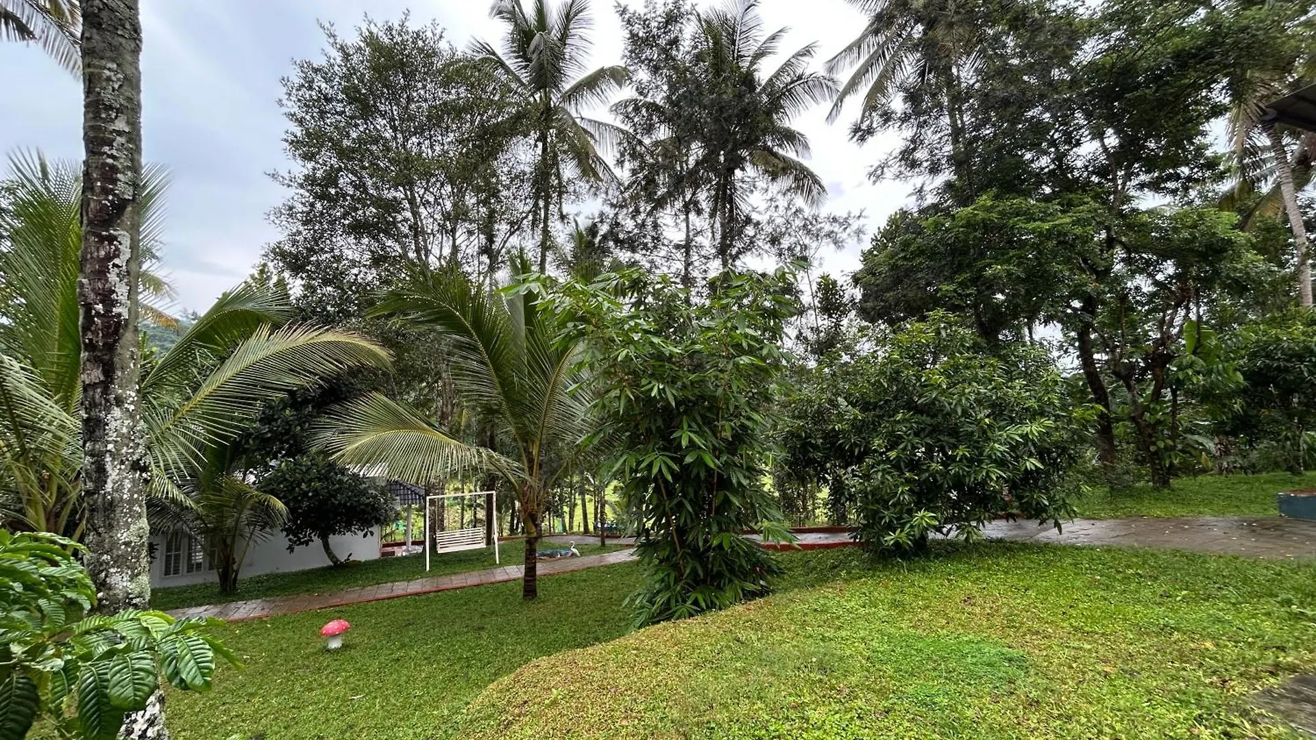 Silver Oak By Exuberance Stays Wayanad Indie